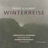 Winterreise, Op. 89, D. 911: No. 6, Wasserflut