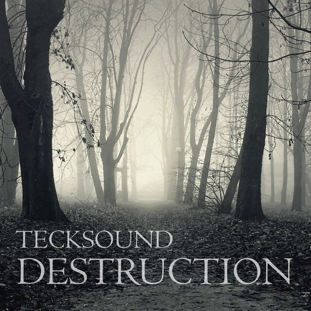 Destruction