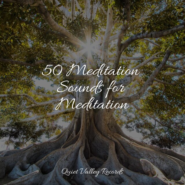 50 Meditation Sounds for Meditation