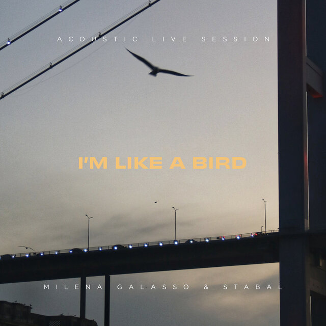 I'm Like A Bird