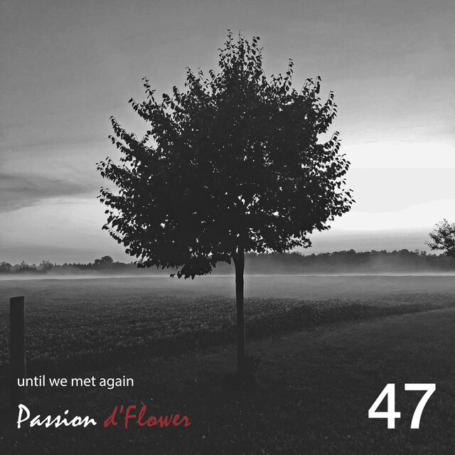 47