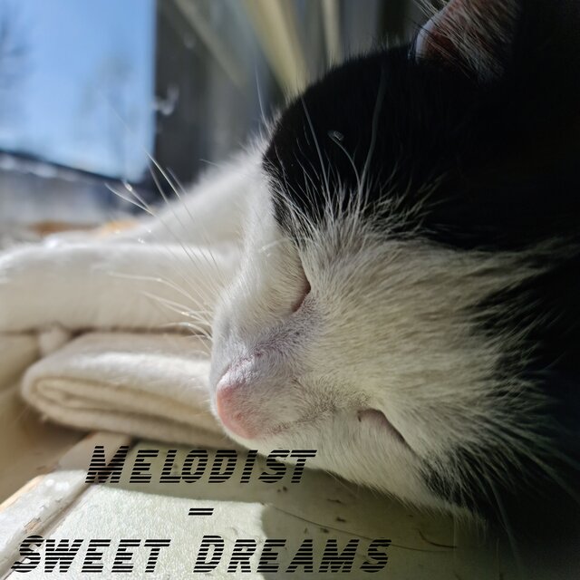 Sweet Dreams