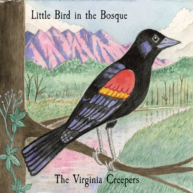 Little Bird in the Bosque