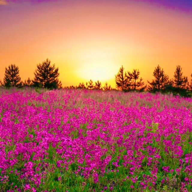 After Spring