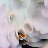 Not What You Expected (Plaid Remix)