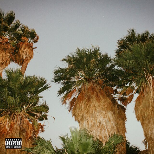 Desert, Pt. 2