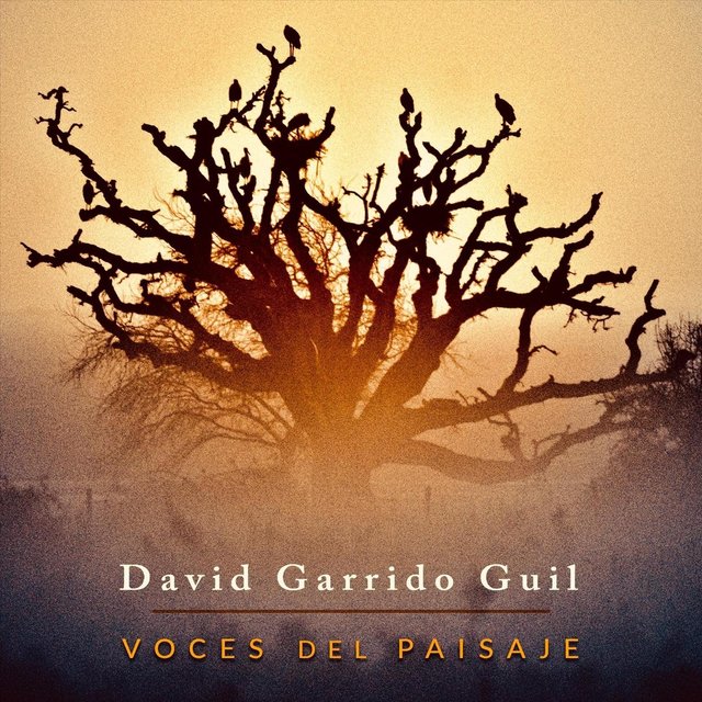 Voces del Paisaje