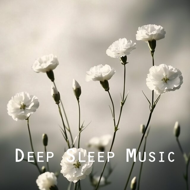 50 Sleep Songs for Relaxation & Deep Night Sleep
