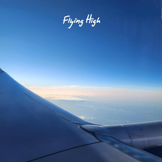 Flying High