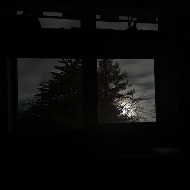 stuck alone with nowhere to go