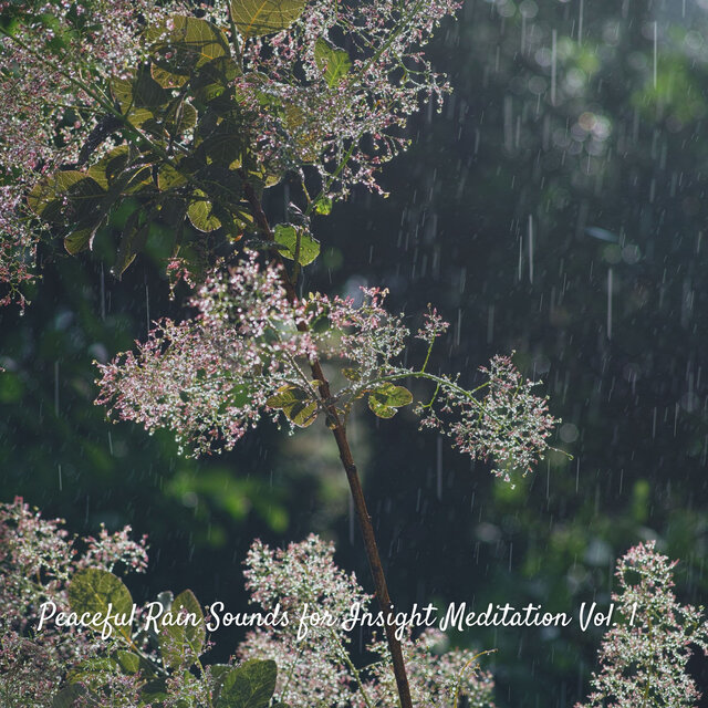 Peaceful Rain Sounds for Insight Meditation Vol. 1