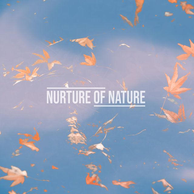 Sounds of Fall