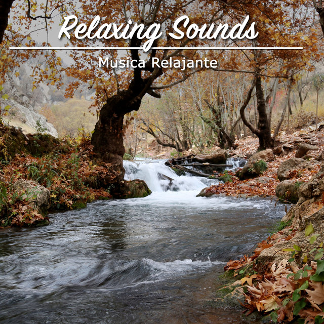12 Relaxing Sounds of Nature: Musica Relajante