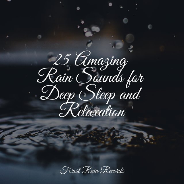25 Amazing Rain Sounds for Deep Sleep and Relaxation