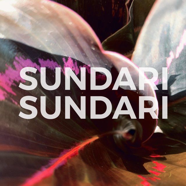 Sundari