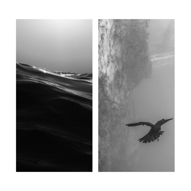 Katharsis/DeliRium