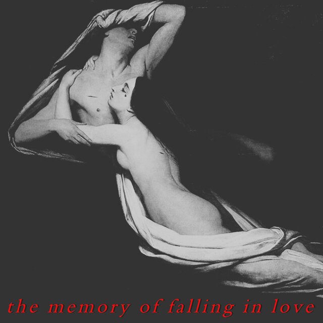 The Memory of Falling in Love