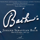 Mass in B Minor, BWV 232: Aria: Qui sedes ad dextram Patris (Alto)