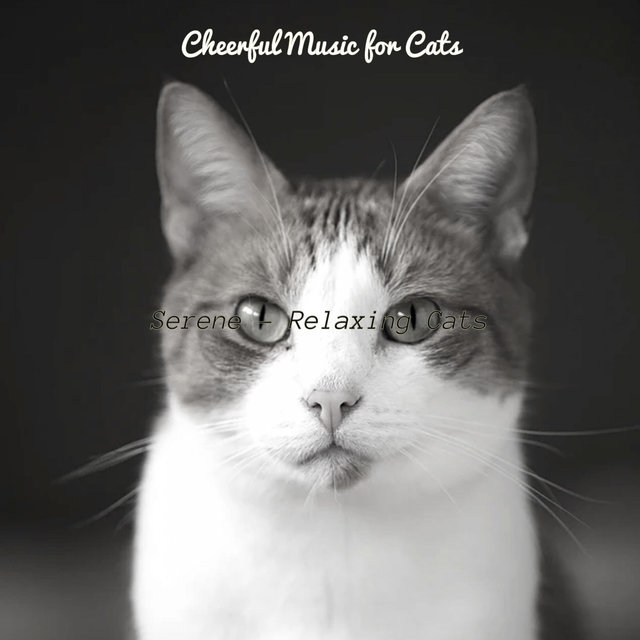 Serene - Relaxing Cats