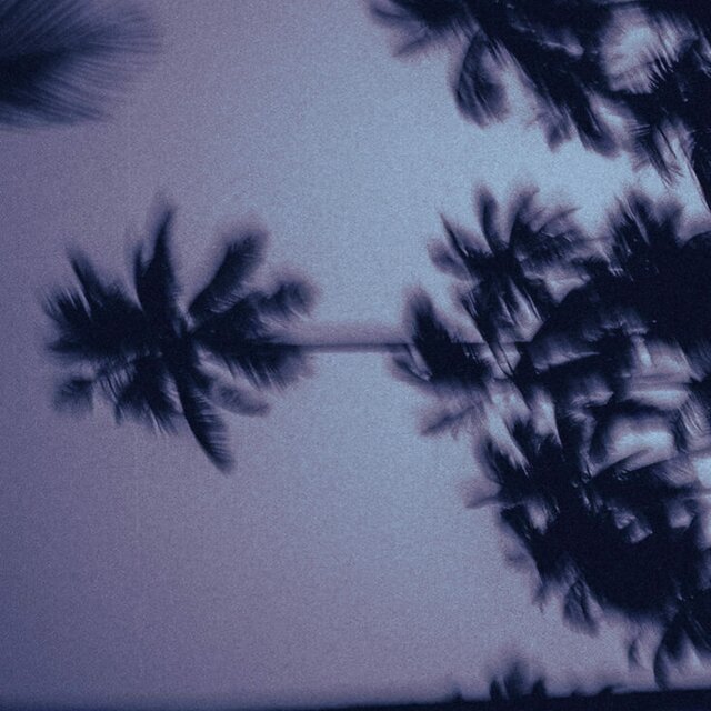 California Was The Dream