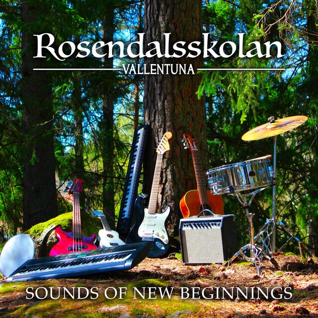 Sounds of New Beginnings