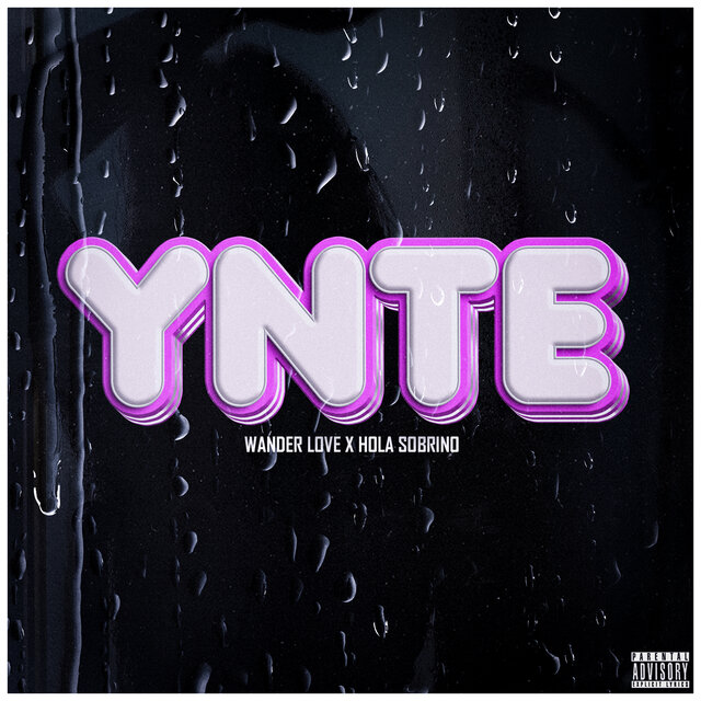 Ynte