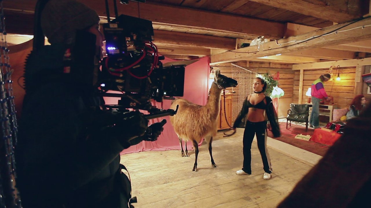 Llama In My Living Room (Behind the Scenes)