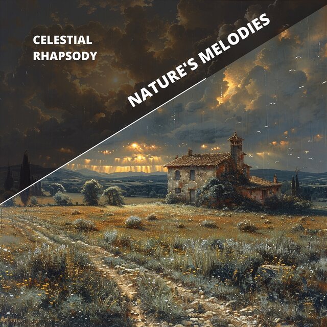 Celestial Rhapsody: the Sound of Skyfire