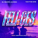 FELI-CES