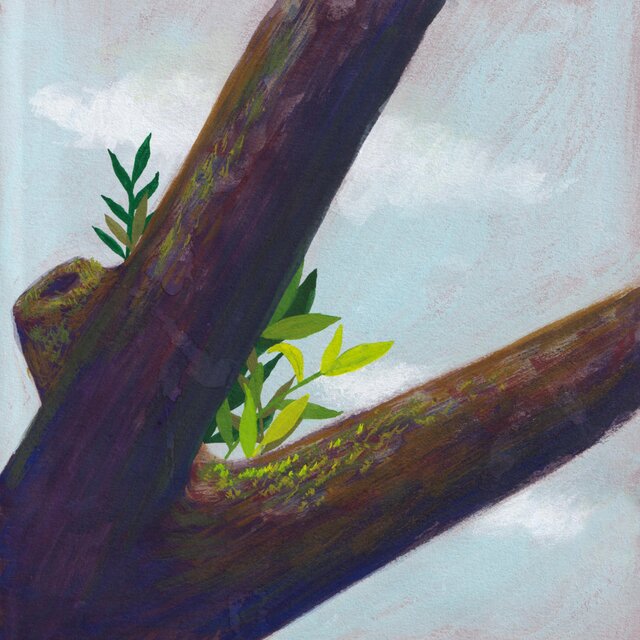 Twin Branches