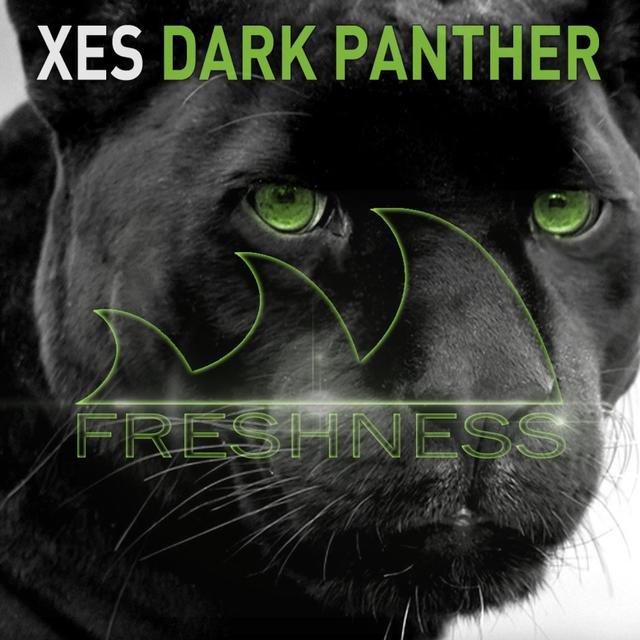 Dark Panther