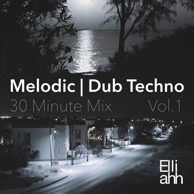 Melodic Dub Techno 30 Minute Mix