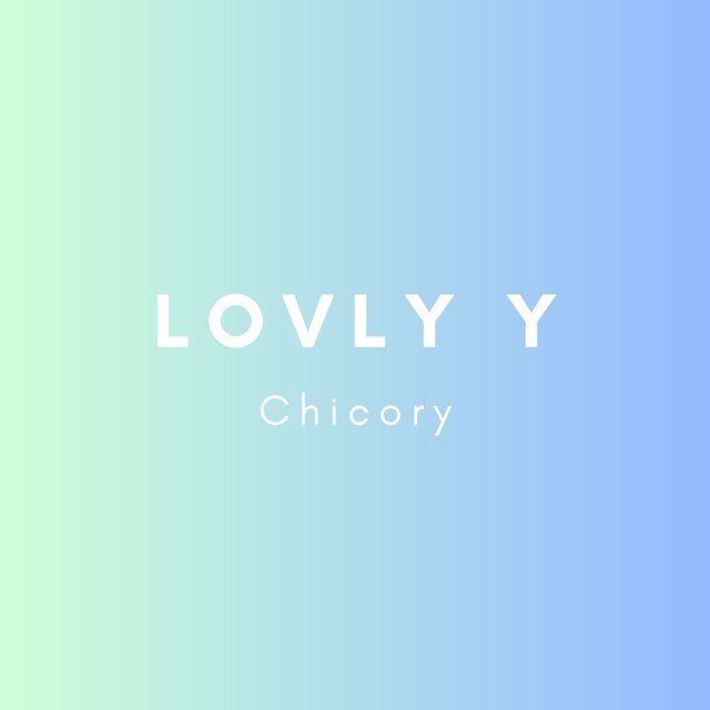 Chicory