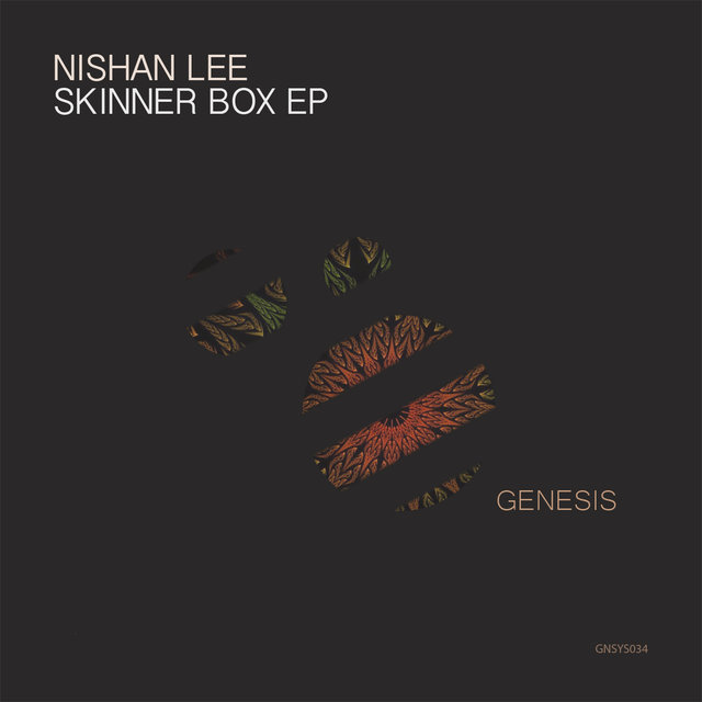 Skinner Box