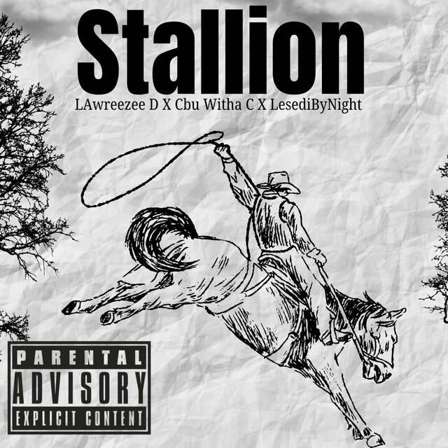 Stallion
