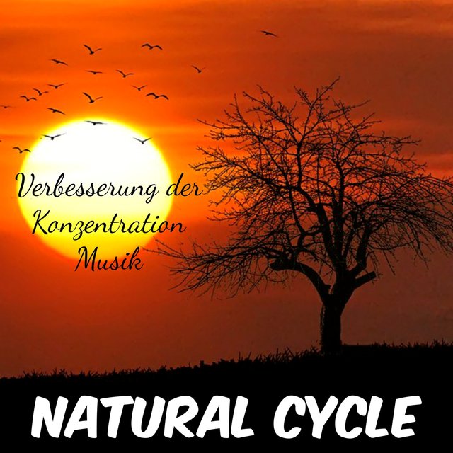 Natural Cycle - Verbesserung der Konzentration Hypnose Ausbildung Geistige Fitness Muzik mit Nature New Age Instrumental Geräusche