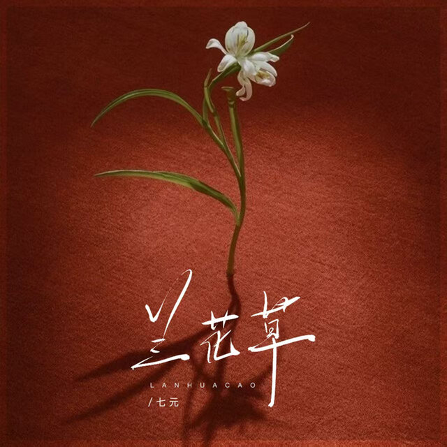 兰花草
