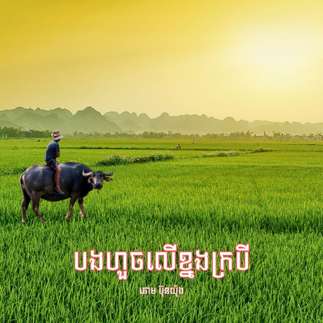 បងហួចលើខ្នងក្របី