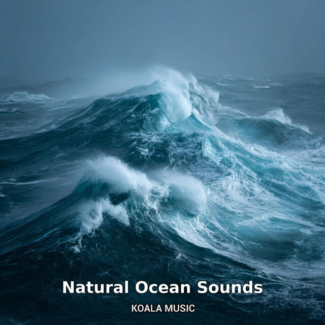 Natural Ocean Sounds