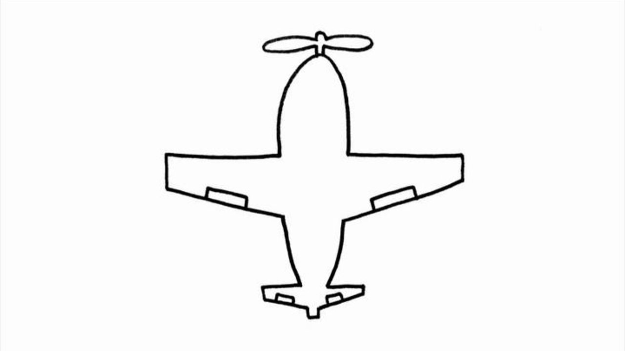 Bird in an Airplane Suit