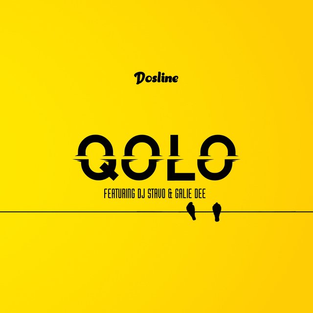 Qolo