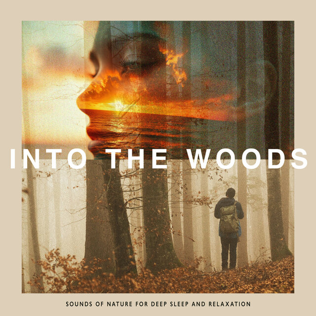 Into The Woods