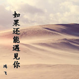 如果还能遇见你