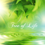 New Age