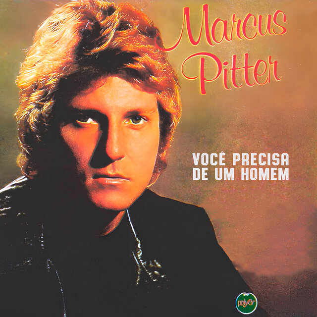 Você Precisa De Um Homem