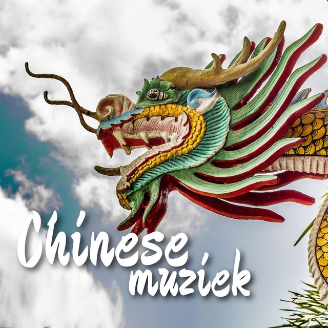 Chinese muziek (Erhu, Guqin, Dizi, Guzheng)