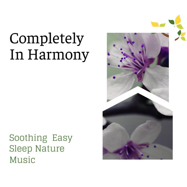 Completely In Harmony - Soothing Easy Sleep Nature Music
