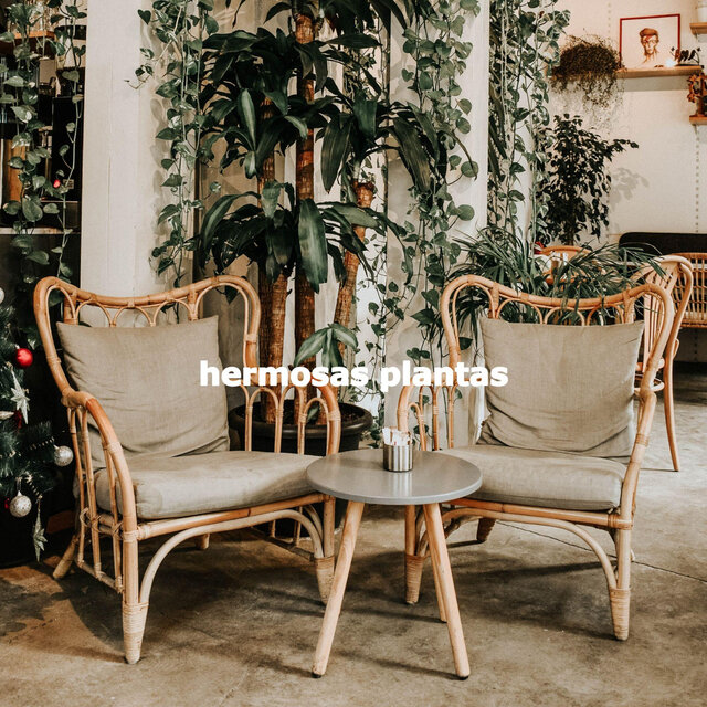 hermosas plantas