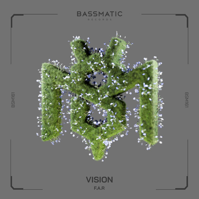 Vision
