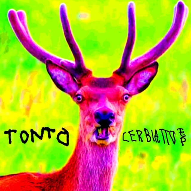 Cerbiatto